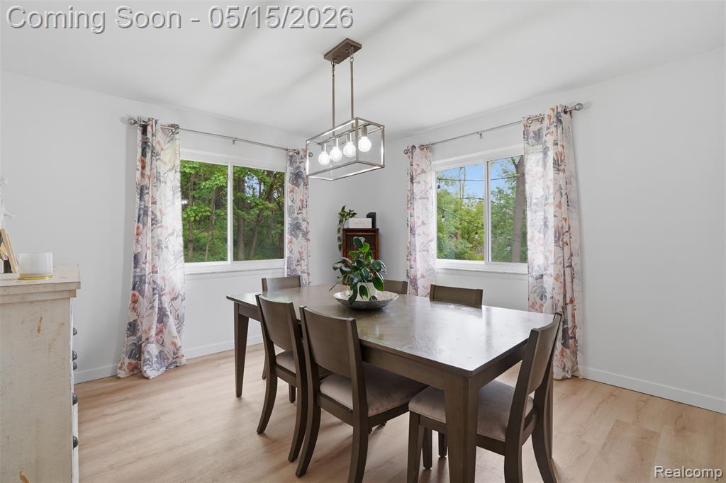 47129 Dunsany Road, Northville, MI 48167 — Photo 10