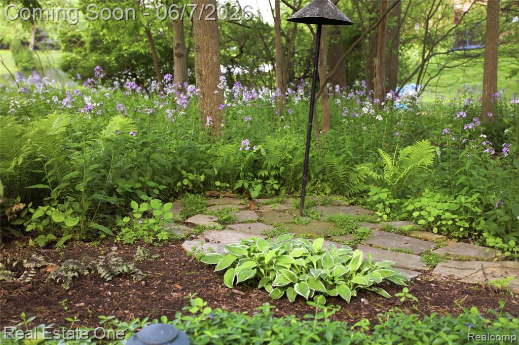 5321 Forest Way, Bloomfield Hills, MI 48302 — Photo 49