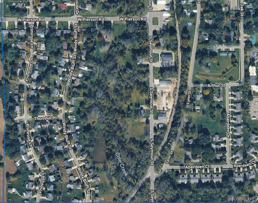 Vacant Land Seymour (Parcel ..23) Road, Flushing, MI 48433 — Photo 3