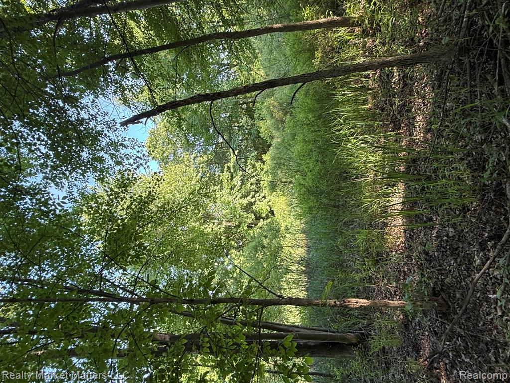 5400 Snow Den Trail, Columbiaville, MI 48421 — Photo 20
