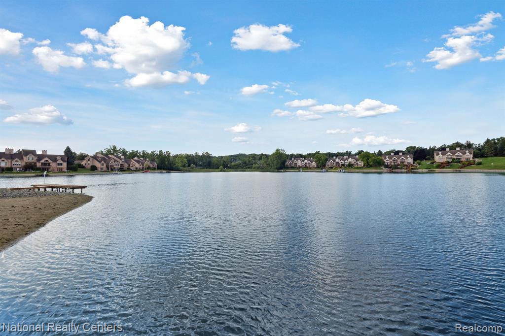 47704 BLUE HERON Drive S, Northville, MI 48168 — Photo 54
