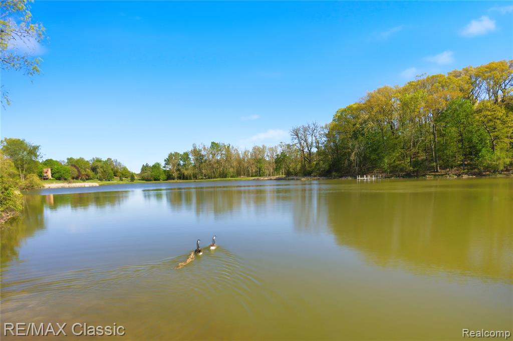 3961 Chablis Street, West Bloomfield, MI 48323 — Photo 41