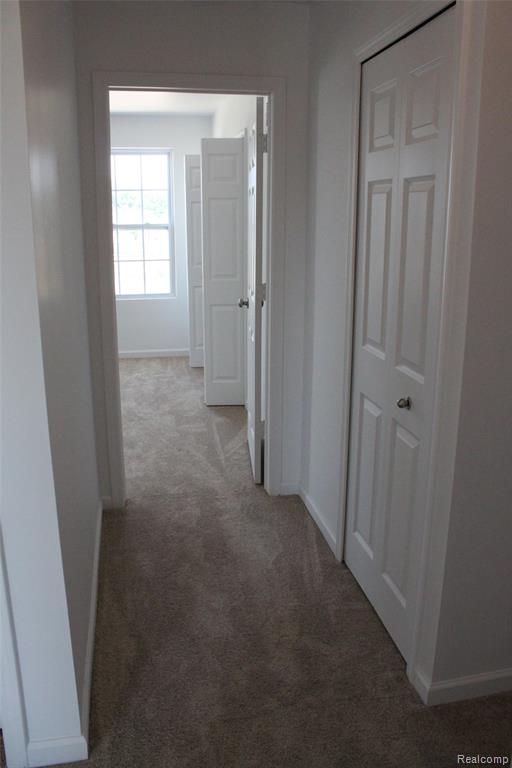 58175 KINCAID Street, New Haven, MI 48048 — Photo 21