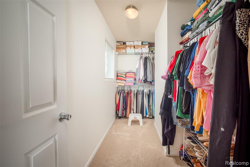 3411 Amber Oaks Drive, Howell, MI 48855 — Photo 18