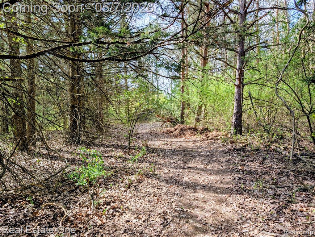 980 OXBOW LAKE Road, White Lake, MI — Photo 6