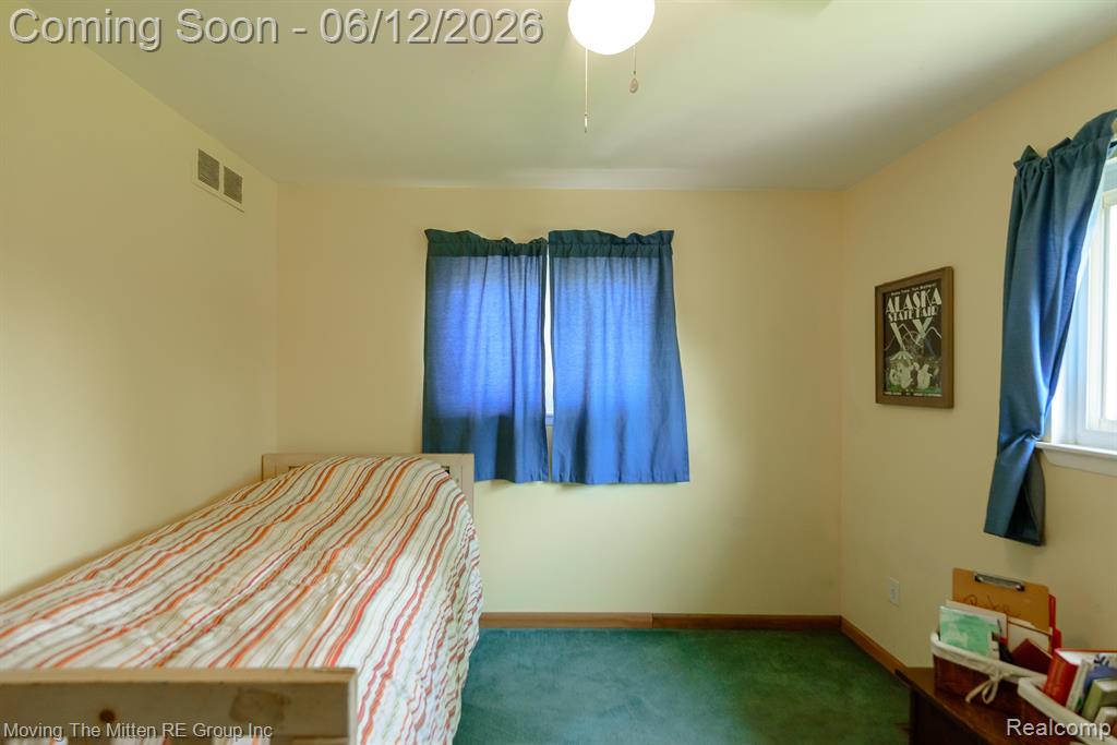 9853 Hamilton Street, Belleville, MI 48111 — Photo 19