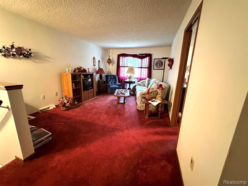 6111 5TH Street, Mayville Vlg, MI 48744 — Photo 24