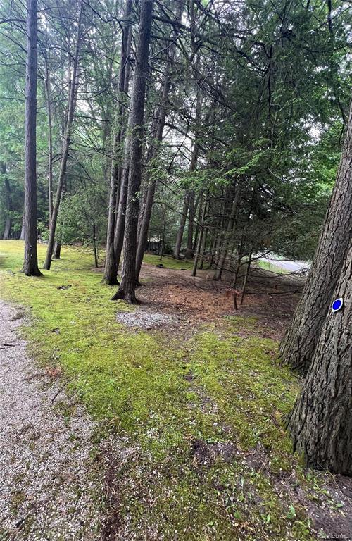 9058 W Chippewa Trail, Shelby, MI 49455 — Photo 48