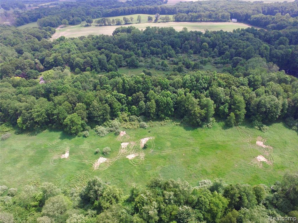 16744 Arnold Road, Gregory, MI 48137 — Photo 46