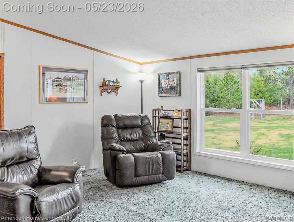 6691 Boone Lane, Vanderbilt, MI 49795 — Photo 8