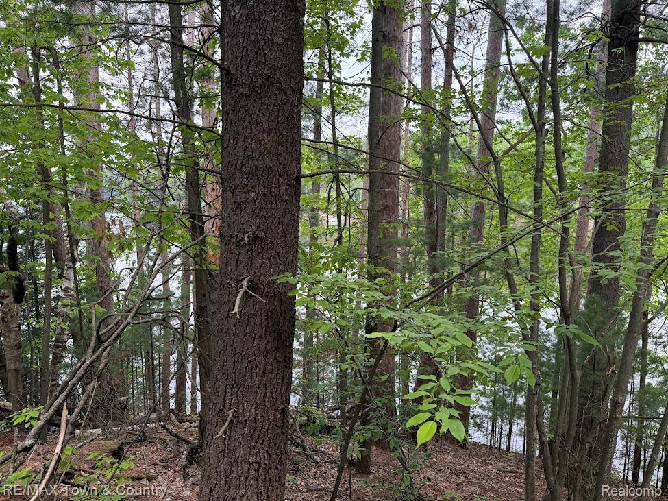 6450 Otter Trail Road, Alger, MI 48610 — Photo 13