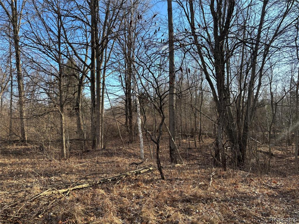 3337 Marathon Road, Columbiaville, MI 48421 — Photo 14