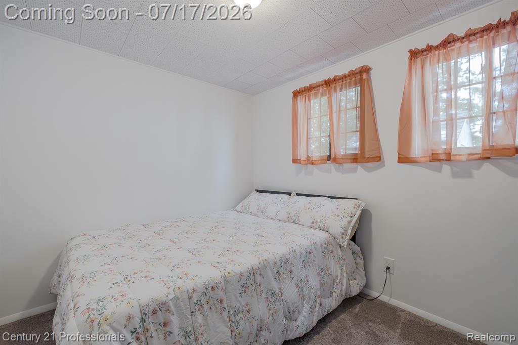 420 Bellevue Avenue, Lake Orion, MI 48362 — Photo 11