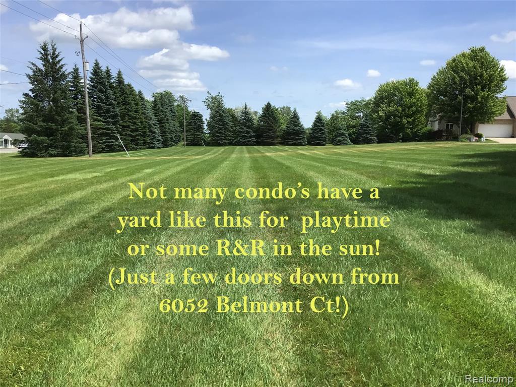 6052 Belmont Court, Grand Blanc, MI 48439 — Photo 40