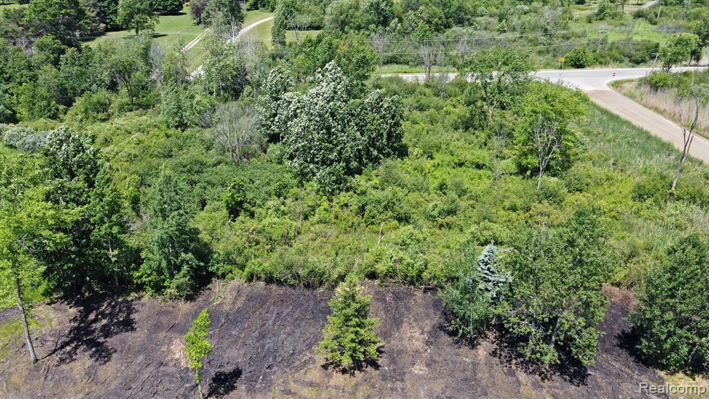 Vacant Land Brandt Road, Ortonville, MI 48462 — Photo 10