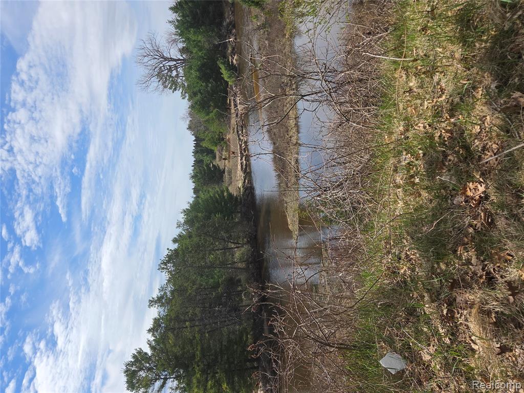4592 F 41, Oscoda, MI 48750 — Photo 8