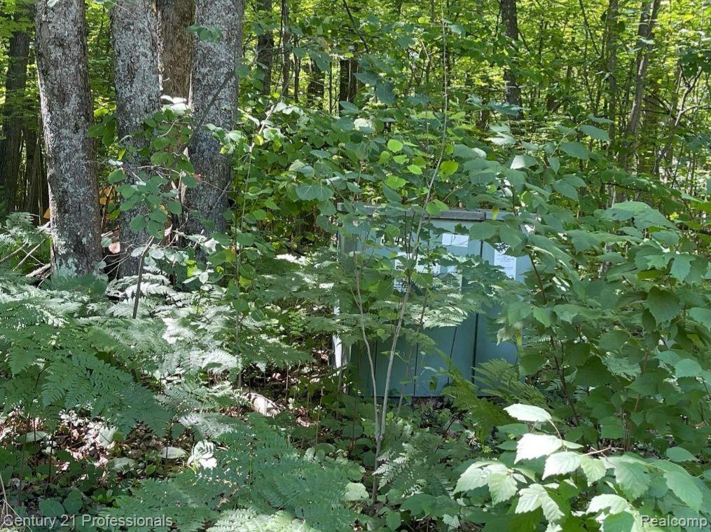 Lot 789 Redwine Drive, Houghton Lake, MI 48653 — Photo 4