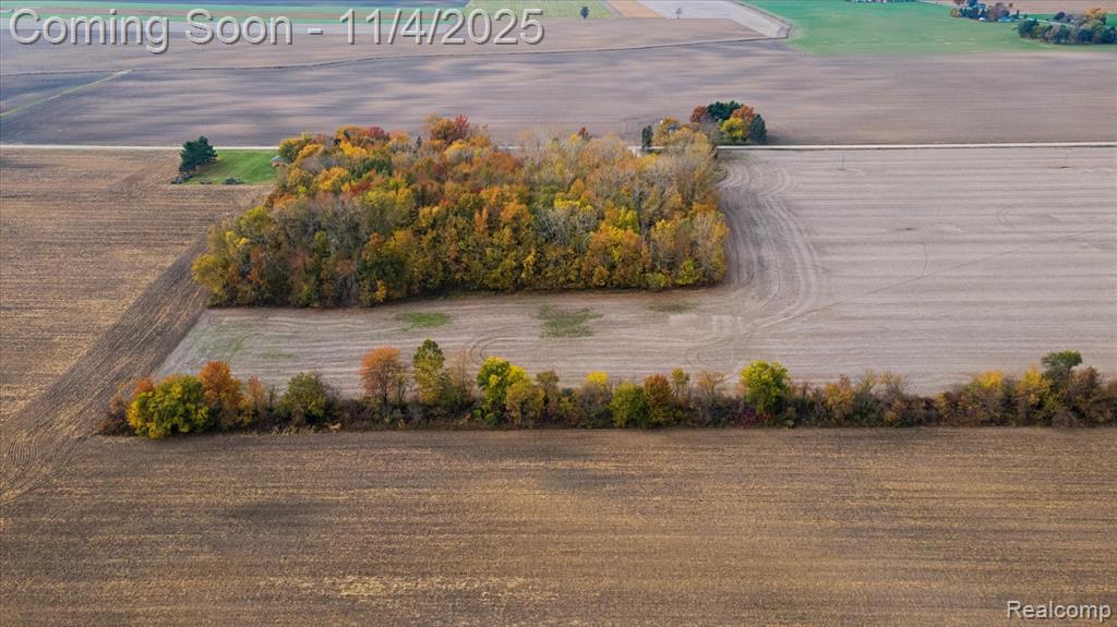 9200 Platt Road, Dundee, MI — Photo 22