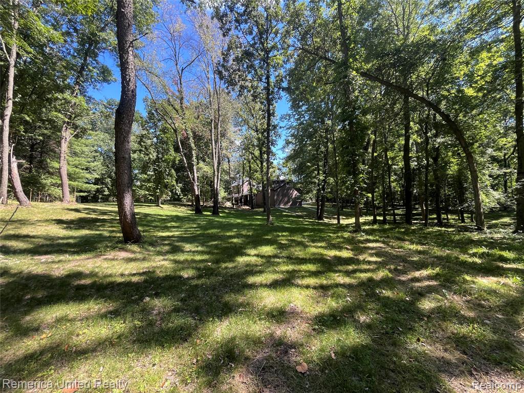 6160 Brambleberry Lane, Cohoctah, MI 48855 — Photo 49