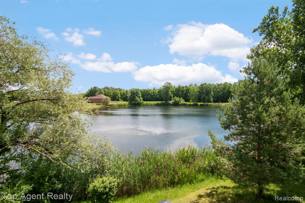 63770 Dequindre Road, Washington, MI 48095 — Photo 25