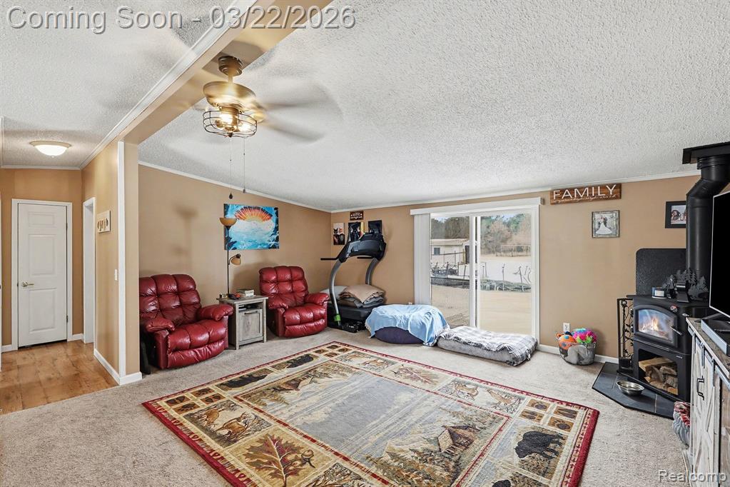 4458 Palms Road, Casco, MI 48064 — Photo 7
