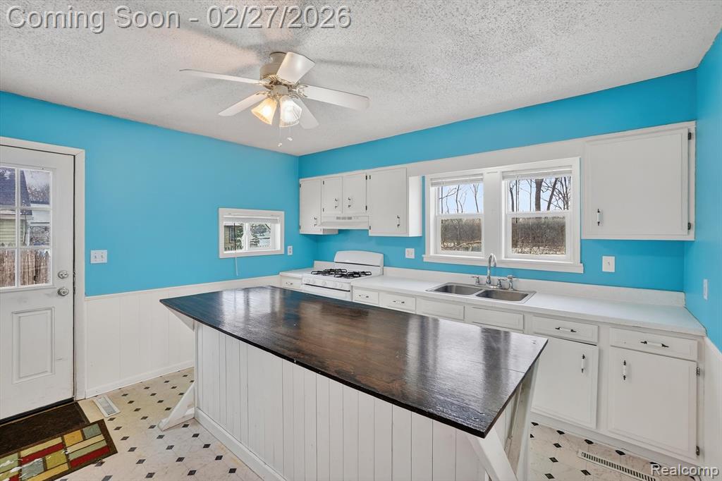 5227 Dania Street, Flint, MI 48532 — Photo 11