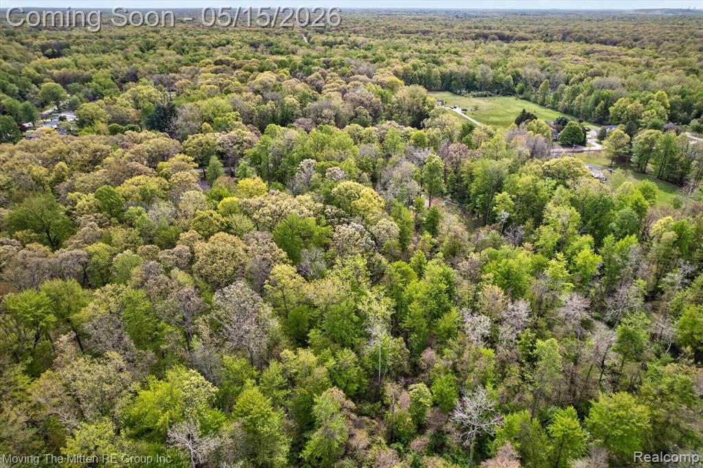22530 Bohn Road, Belleville, MI 48111 — Photo 10