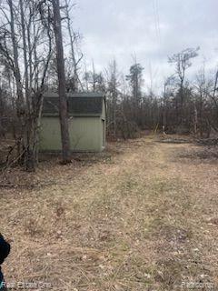 VL Big Creek Road, Johannesburg, MI 49751 — Photo 4