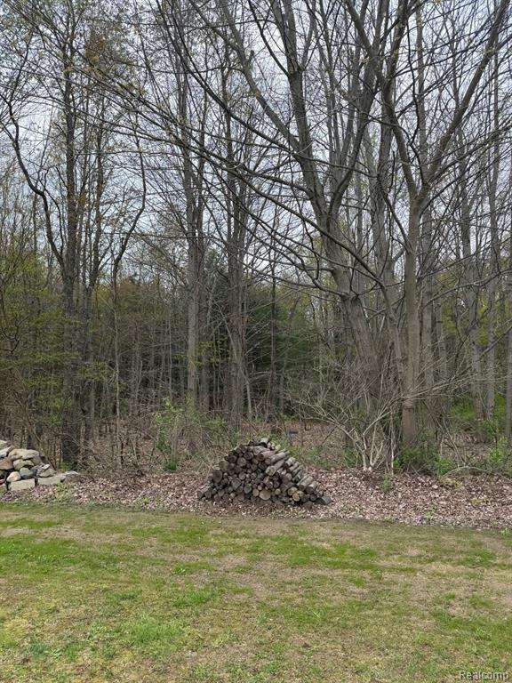 8128 Howard Road, Marlette, MI 48453 — Photo 11