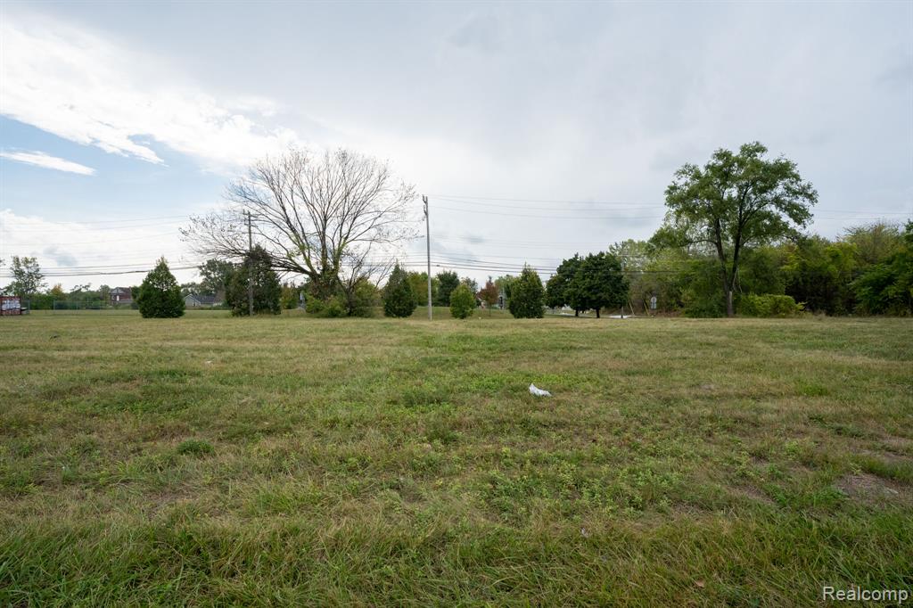 9845 Russell Street, Detroit, MI 48211 — Photo 4