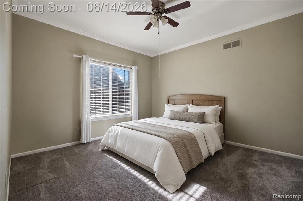47920 Vistas Circle Drive N, Canton, MI 48188 — Photo 14