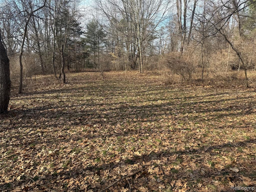 2096 Hunter Road, Brighton, MI 48114 — Photo 8
