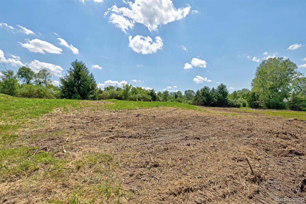 Vacant Land Brandt Road, Ortonville, MI 48462 — Photo 33