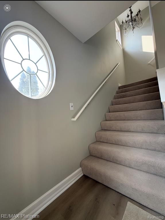 534 Hope Street, Brighton, MI 48116 — Photo 10