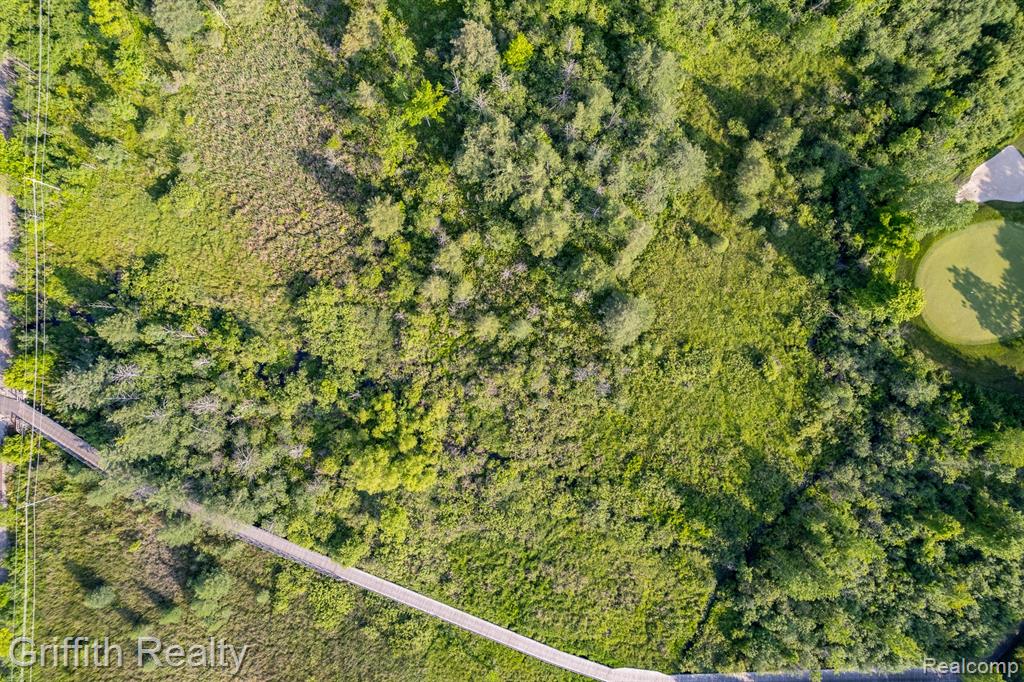 4433 Brighton Parcel B Road, Howell, MI 48843 — Photo 22