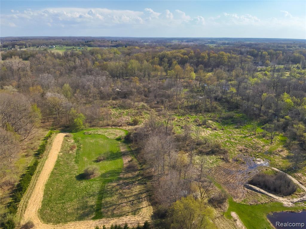 5785 Layton Road, Fowlerville, MI 48836 — Photo 65