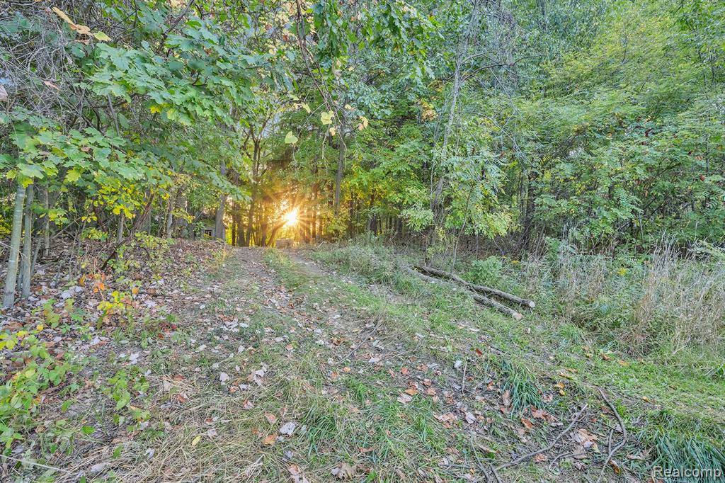 8264 Wilson Road, Otisville, MI 48463 — Photo 24