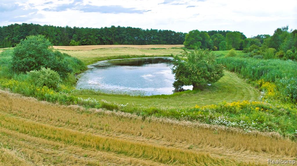 VL Custer Road, MI 48419 — Photo 13