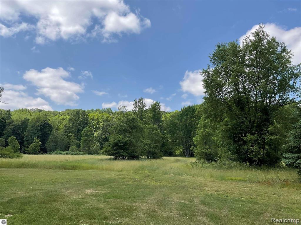 10694 Freeman Road, Mesick, MI 49668 — Photo 37