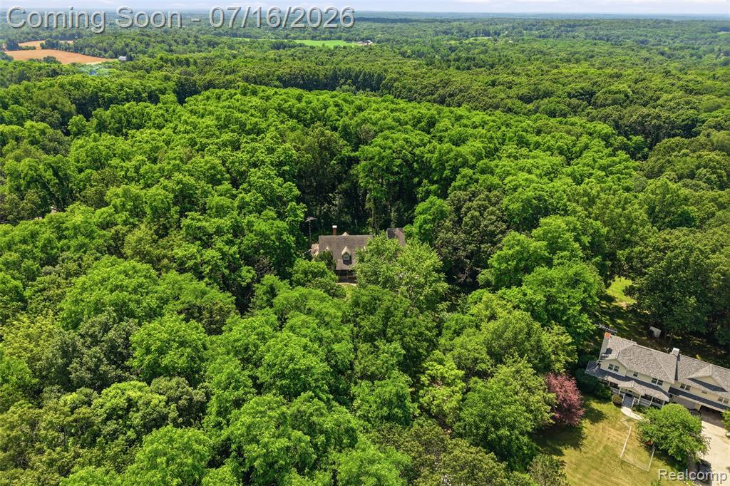 9201 Mabley Hill Road, Fenton, MI 48430 — Photo 59
