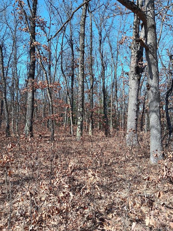 0000 Cedar Creek Road, Wellston, MI, 49689