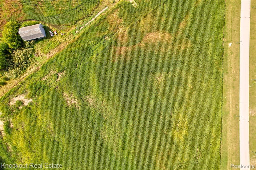 Parcel E W Rolling Hills Drive, Bridgeport, MI 48722 — Photo 4