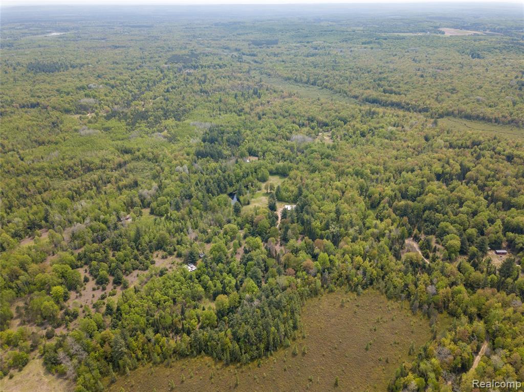 5960 N Trail SE, Kalkaska, MI 49646 — Photo 45