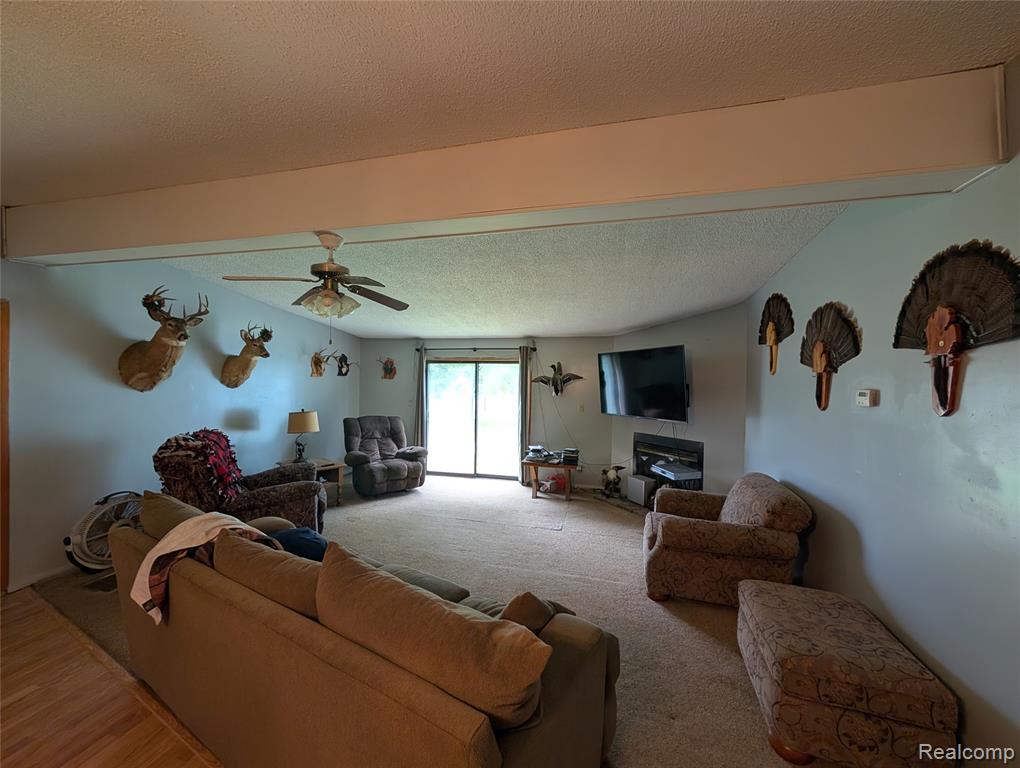11175 S Morrice Road, Morrice, MI 48857 — Photo 9