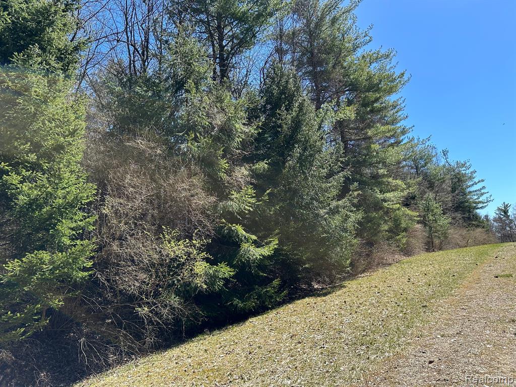 4.23 Acres VL - KNIGHTS BRIDGE Road, Leonard, MI 48367 — Photo 4
