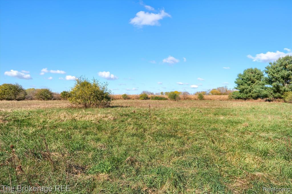 VL Janna Leigh Drive, Otter Lake, MI 48464 — Photo 14