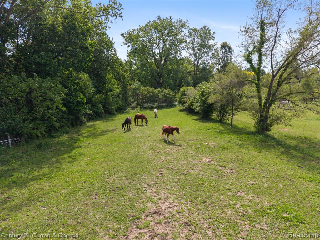 0000 7 Mile Seven Mile Rd, South Lyon, MI 48178 — Photo 27