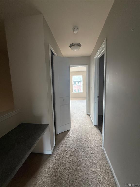 1618 RED HICKORY, Howell, MI 48855 — Photo 12