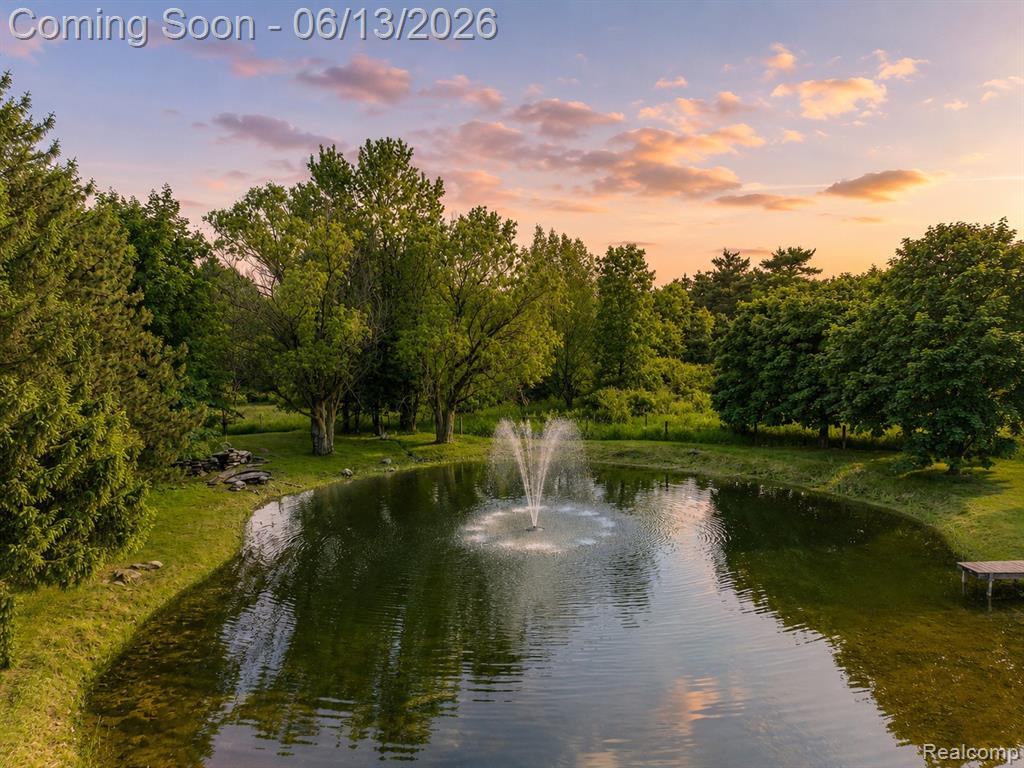 1310 Brauer Road, Metamora, MI 48371 — Photo 2