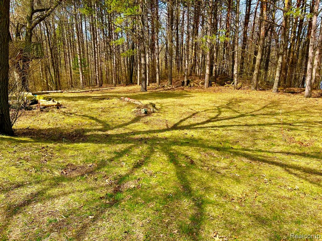 400 WOLFE Road, Ortonville, MI 48462 — Photo 29
